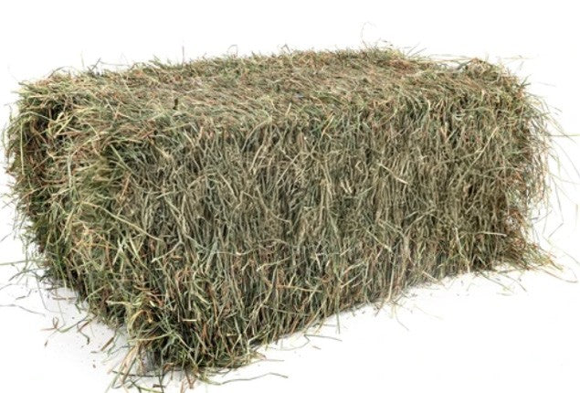 Sponsor a Bale of Hay