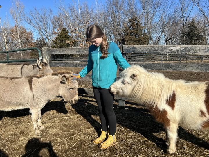 Sponsor Cody's Sanctuary Care